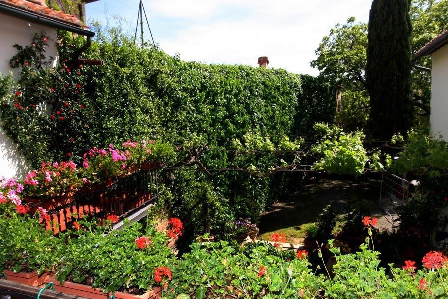 Casa Lemmi Guest House San Quirico dʼOrcia Eksteriør bilde